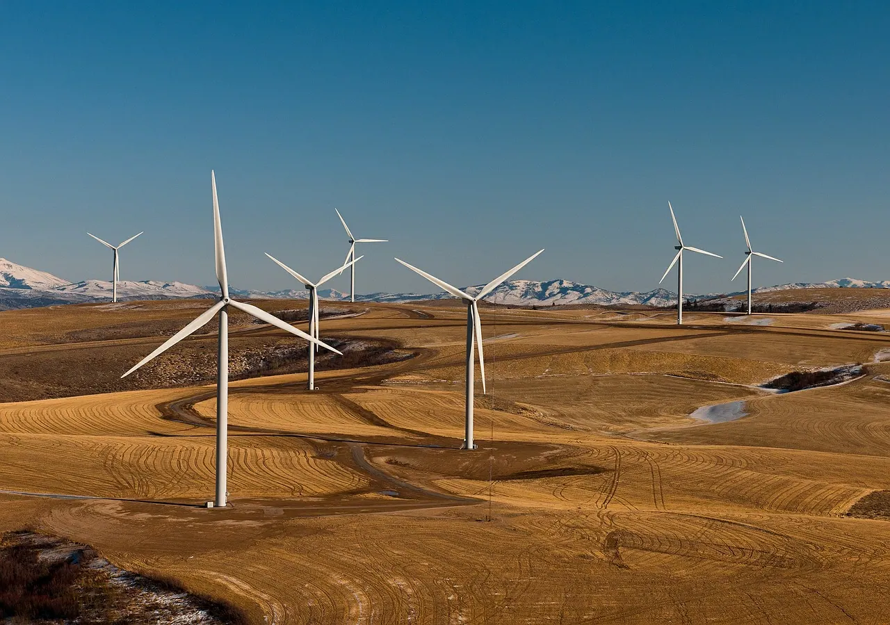Wind farm with several wind turbines